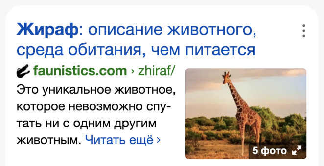 Микро разметка - картинка в поисковой выдачи Микро разметка - картинка в поисковой выдачи